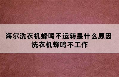 海尔洗衣机蜂鸣不运转是什么原因 洗衣机蜂鸣不工作